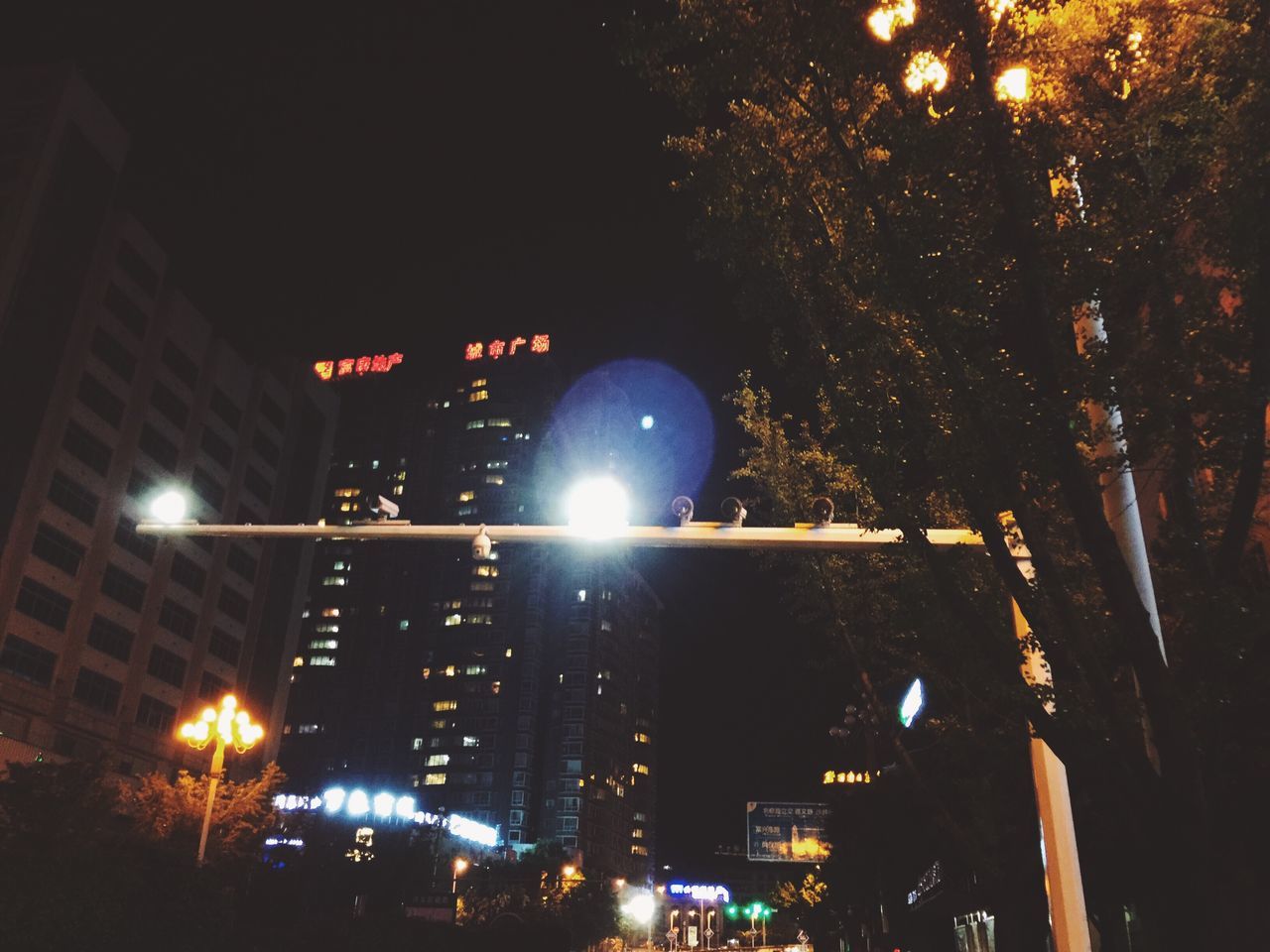 illuminated, night, tree, street light, no people, low angle view, outdoors, city