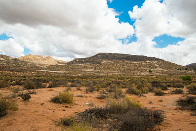 Scenic view of arid landscape against sky