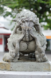 Close-up of statue
