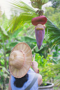 Rear view of woman holding umbrella against trees