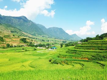 Scenic view of field against cloudy sky