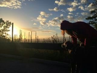 Scenic view of landscape against sky at sunset