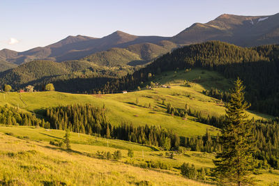 Green meadows with small houses landscape photo