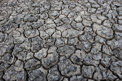 Close-up of cracked land