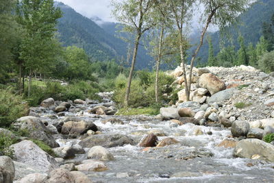 Rocks by river stream in forest