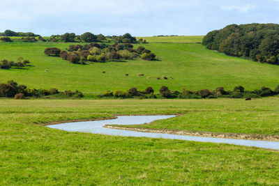 Landscape of pastoral field and canal