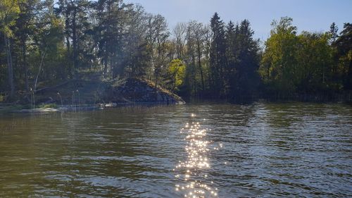 Scenic view of lake against trees in forest