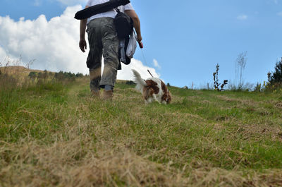 Full length of a dog walking on field