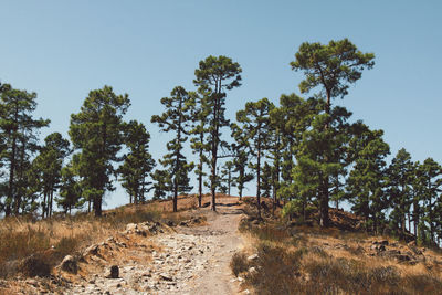 Dirt road against clear sky