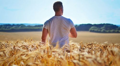 Man standing in wheat field