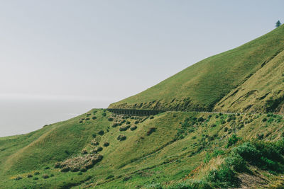 Scenic view of landscape against clear sky