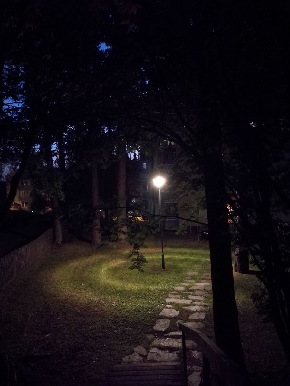 ILLUMINATED STREET AT PARK