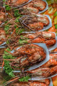 High angle view of plates of cooked prawns