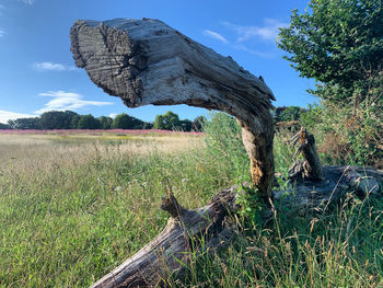 Scenic view of land against sky