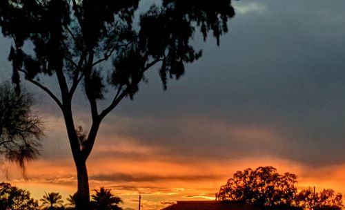 Low angle view of silhouette trees against sky during sunset