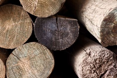 Full frame shot of logs in forest