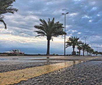 Palm trees by road against sky in city