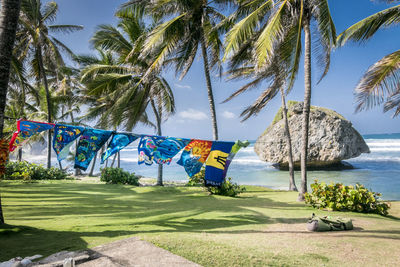 Colorful beach towels swing in the wind on bathsheba beach, barbados, lesser antilles