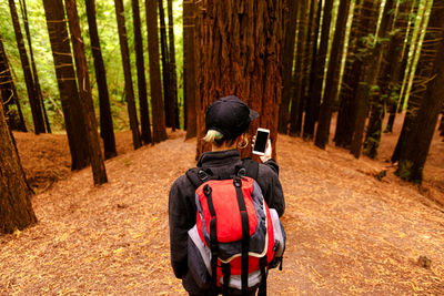 Rear view of man cycling on road amidst trees in forest