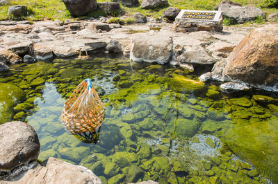High angle view of wicker basket with eggs in hot spring pond