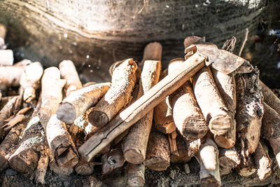 Close-up of logs in forest