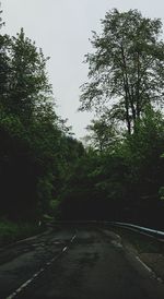 Road amidst trees against sky during rainy season