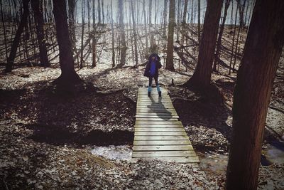 Rear view of person on walkway amidst trees in forest