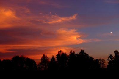 Silhouette trees against sky during sunset