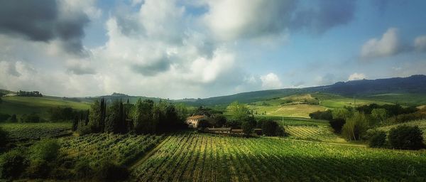 Panoramic view of agricultural field against sky