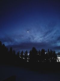 Silhouette trees against sky at night