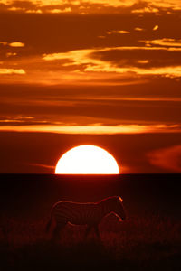 Scenic view of field against sky during sunset