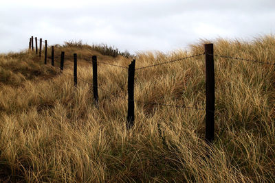 Wooden posts on field against sky