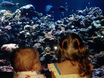 Rear view of children looking at fish in aquarium