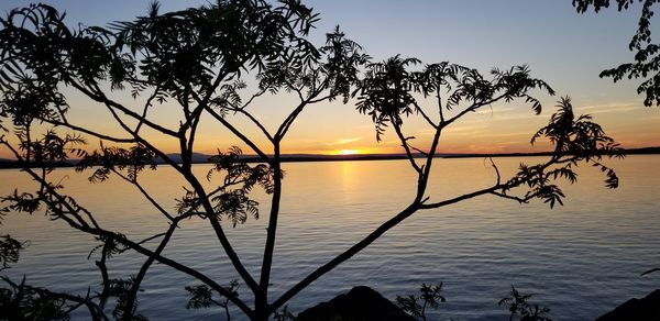 Silhouette trees by lake against sky during sunset