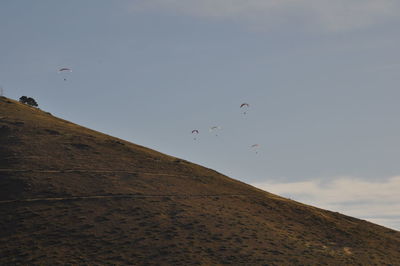 Low angle view of birds flying against sky