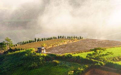 Panoramic view of green landscape against sky