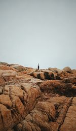 Rear view of man on arid landscape against clear sky