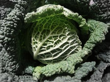 Full frame shot of vegetables