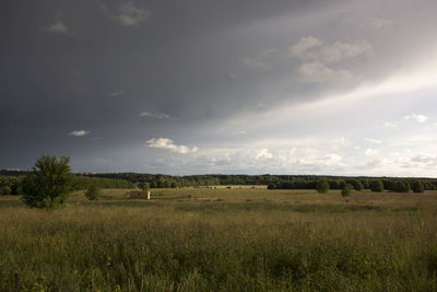 Scenic view of field against sky