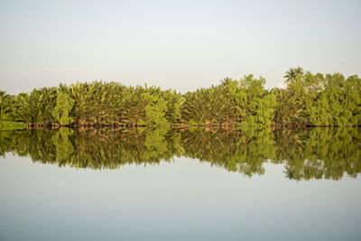 Scenic view of lake against clear sky