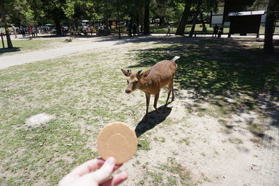 Man holding umbrella by plants