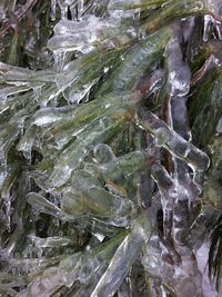 Full frame shot of ice