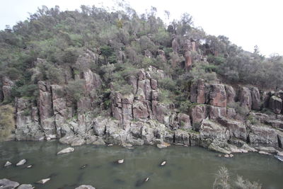 Scenic view of rocks by trees against sky