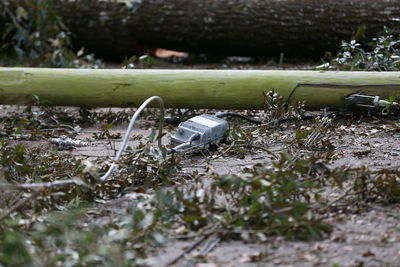 Electrical equipment by fallen trees on road