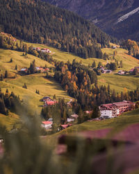 Scenic view of trees and houses on field