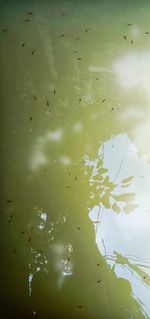 High angle view of floating on water