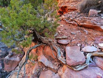 View of rock formation