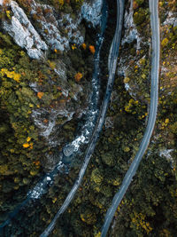 High angle view of road amidst trees in forest