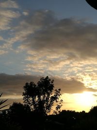 Low angle view of silhouette trees against sky