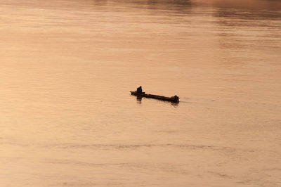 Man in boat on sea during sunset